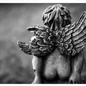 Meet your Posher, Chanika