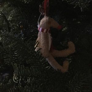 Meet your Posher, Wendy