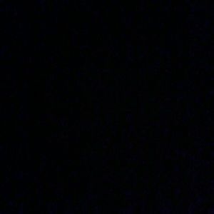 Meet your Posher, Daniella