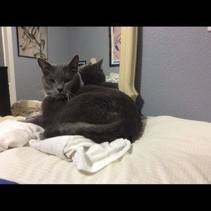 Meet your Posher, Jamie