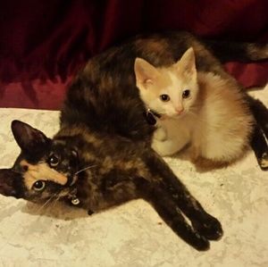 Meet your Posher, Maria