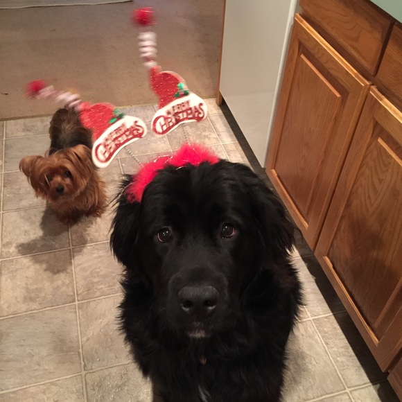 🛍Welcome to my Closet!🛍 - Picture 4 of 4