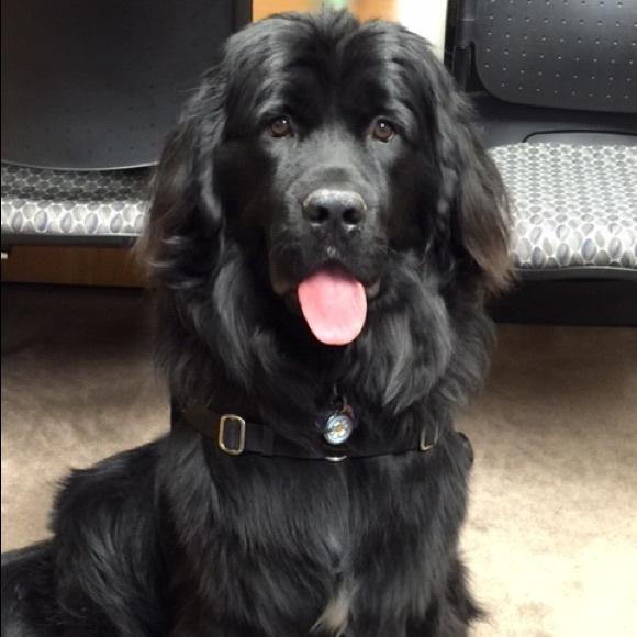 🛍Welcome to my Closet!🛍 - Picture 2 of 4