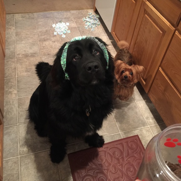 🛍Welcome to my Closet!🛍 - Picture 3 of 4