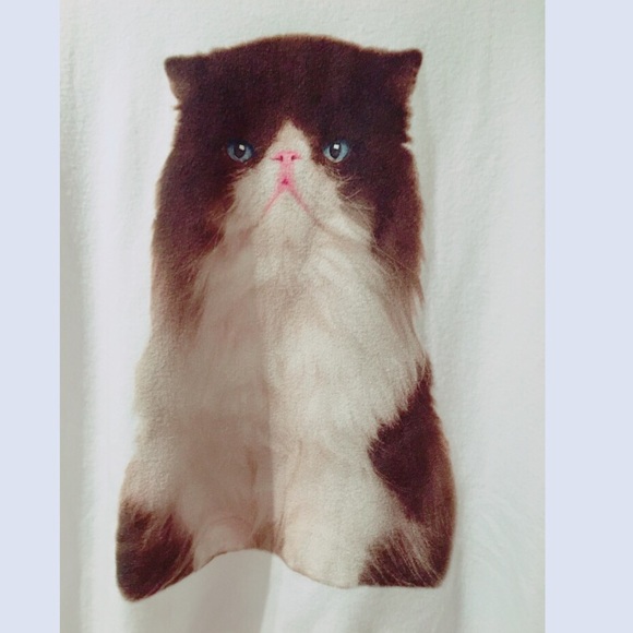 ❤️HP! 05/01🎉!! WildFox Chocolate Kitty BBJ - Picture 2 of 2