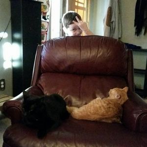 Meet your Posher, Dawn