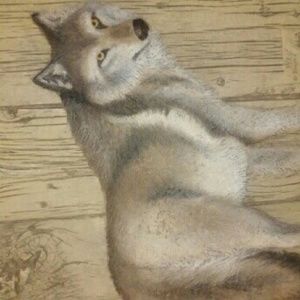 Meet your Posher, Robin