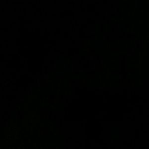 Meet your Posher, Ivory