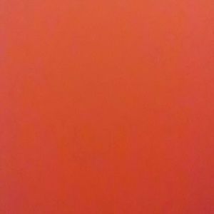 Meet your Posher, Dylen