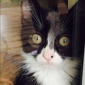 Meet your Posher, Stacy