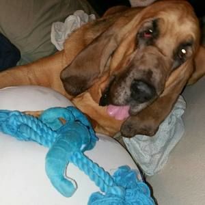 Meet your Posher, Shelli