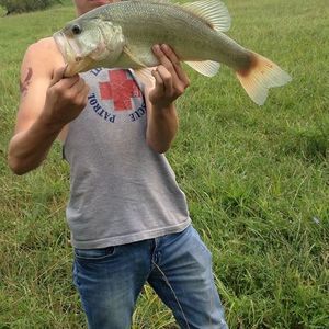 Meet your Posher, Dalton