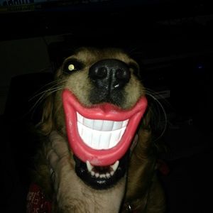 Meet your Posher, Jane