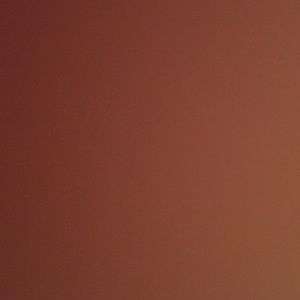 Meet your Posher, Elisa