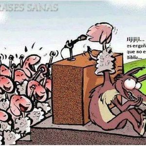 Meet your Posher, Fred