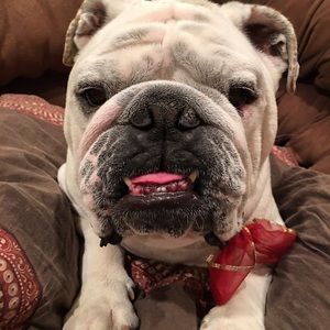 Meet your Posher, Holly