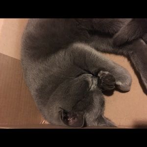 Meet your Posher, Melody