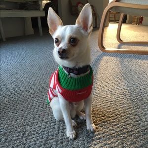 Meet your Posher, Roni