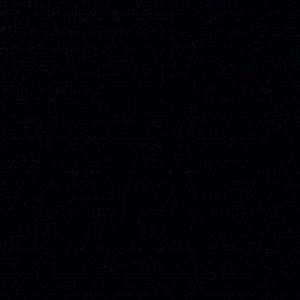 Meet your Posher, Dorothy