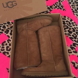 Tall chestnut uggs great condition