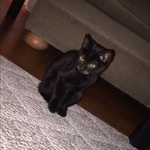 Meet your Posher, Allison