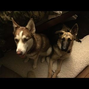 Meet your Posher, Britney