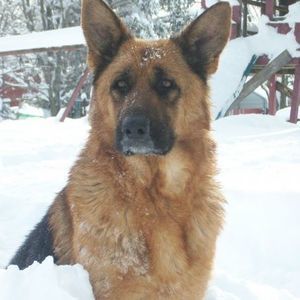 Meet your Posher, Esther