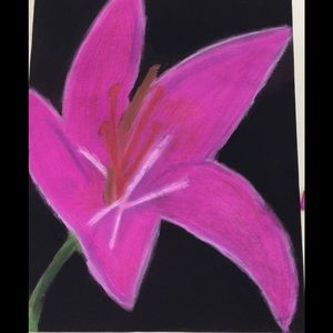 Meet your Posher, Kate