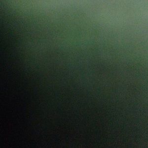 Meet your Posher, Bridget