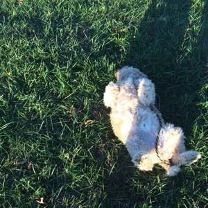 Meet your Posher, Jess