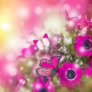 Meet your Posher, Mercy