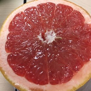 Meet your Posher, Mallory