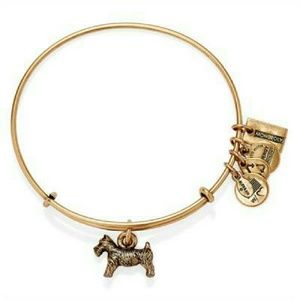 Alex and Ani monopoly dog bracelet gold bangle