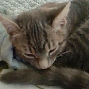 Meet your Posher, Janice