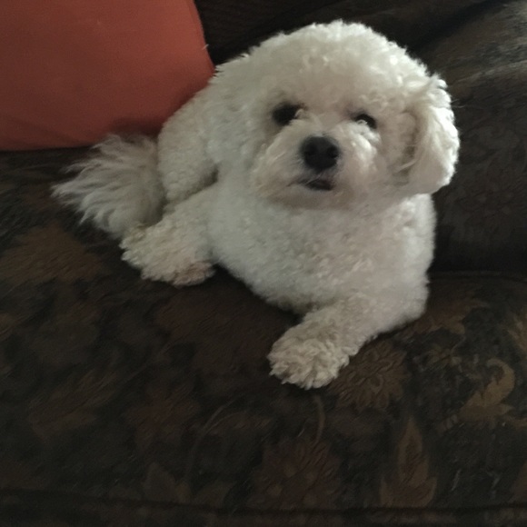 Meet your Posher, Debra