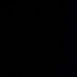 Meet your Posher, Donald