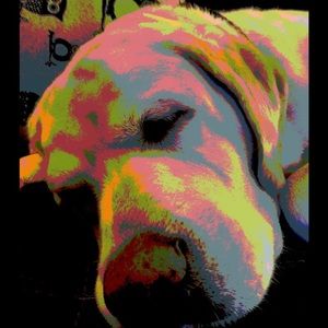 Meet your Posher, Annette