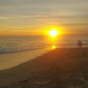 Meet your Posher, Cherry