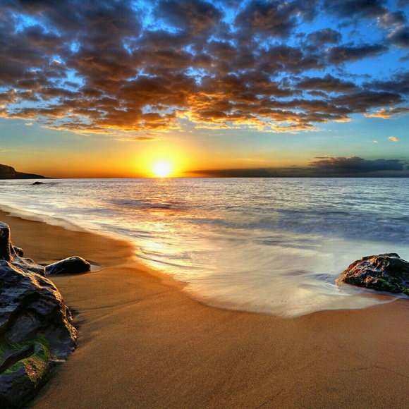 🦚 Thank You !! 🦚 - Picture 4 of 8