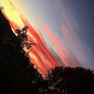 Meet your Posher, Eli