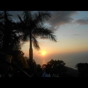 Meet your Posher, Mallory