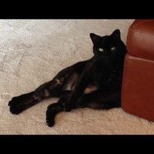 Meet your Posher, Marie