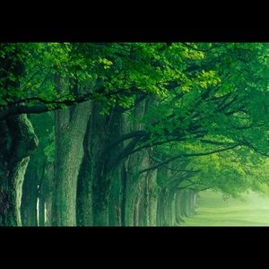 Meet your Posher, Margaret