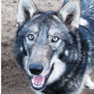 Meet your Posher, Natividad