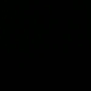 Meet your Posher, Alesia