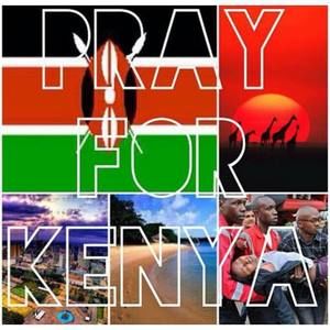 Meet your Posher, Toni