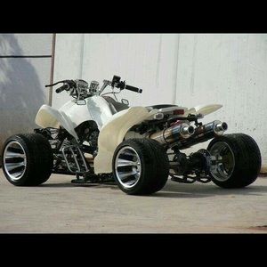 Meet your Posher, Alexander