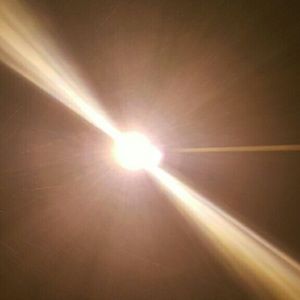 Meet your Posher, Damien