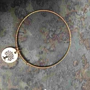 Alex & Ani Look alike Charm Bracelet