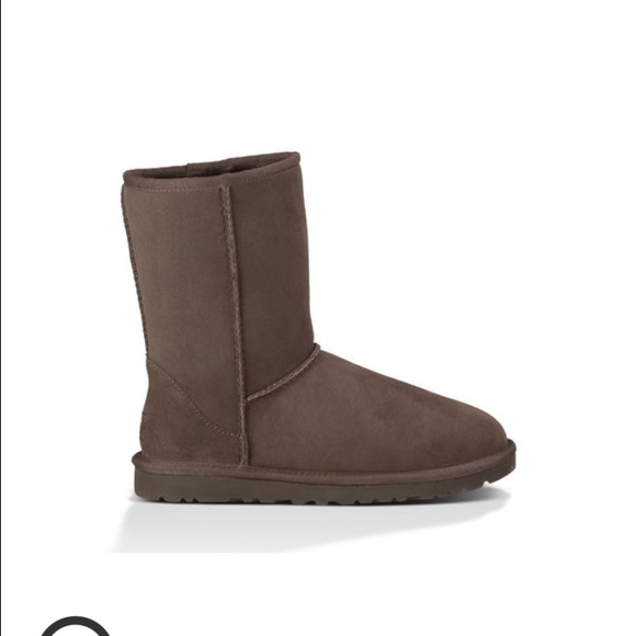 Women's Classic short chocolate brown Uggs